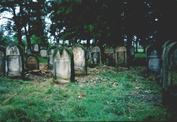 Cemetery as of Aug. 1, 2001